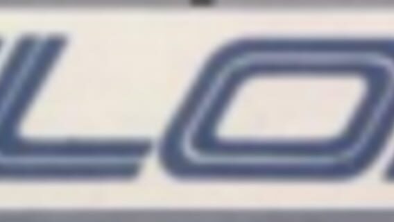 ELORG logo