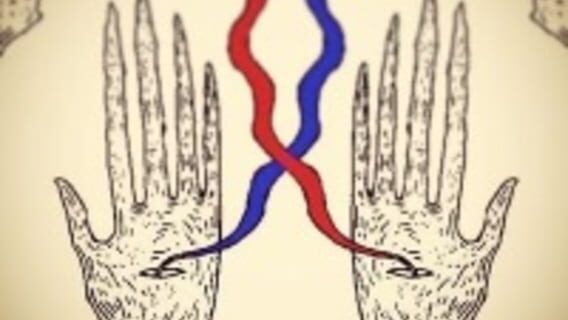 ToothandClaw logo