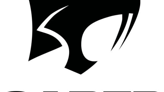 Saber Interactive logo