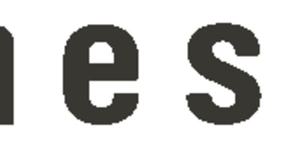 stoneskip logo