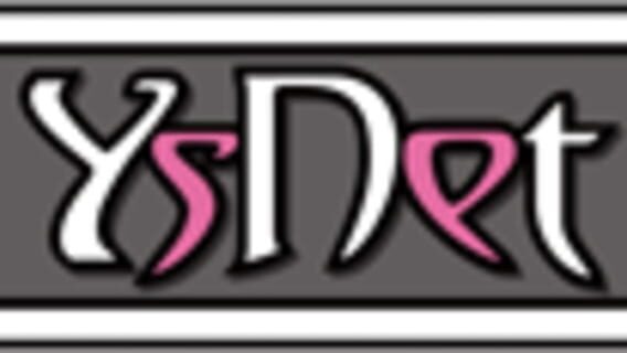 Ys Net logo