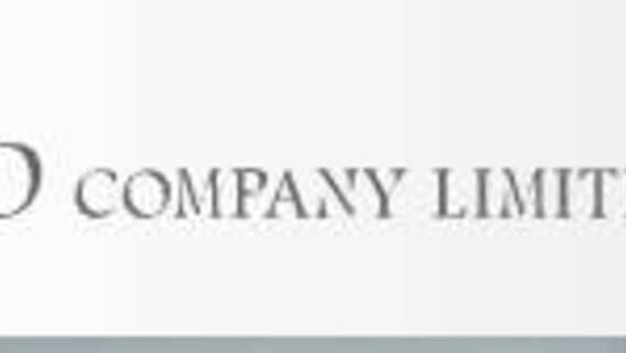 SSD Company Limited logo