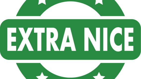 Extra Nice logo