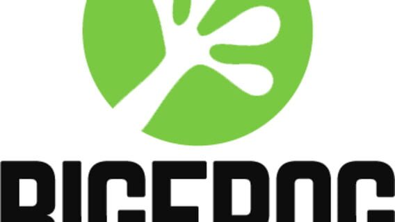BigFrog Studios logo