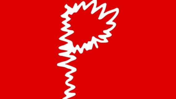 Pasqui industry logo