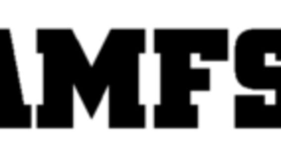 GAMFS N logo