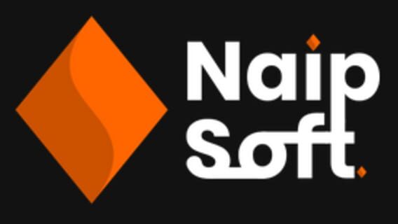 NaipSoft logo