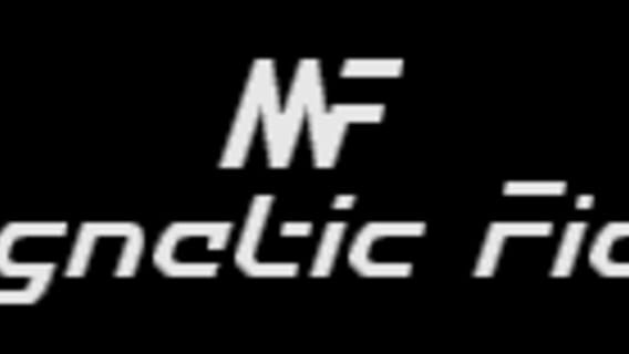Magnetic Fields logo