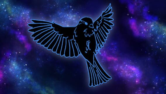 Nightsparrow logo