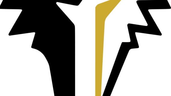 Wolfeye Studios logo