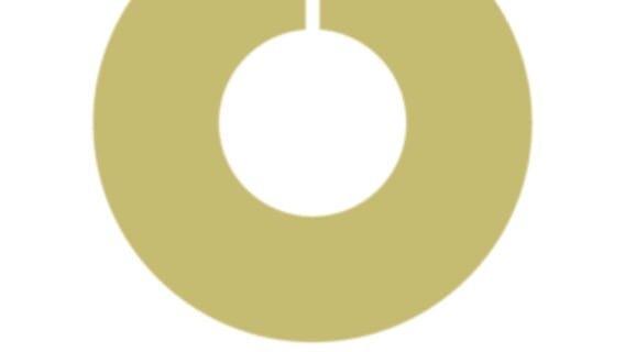 Nerial logo