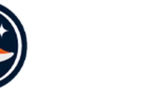 Space Fox Games logo