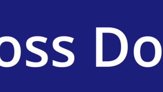 Big Boss Dolphin logo