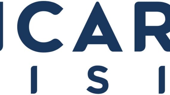 Vicarious Visions logo