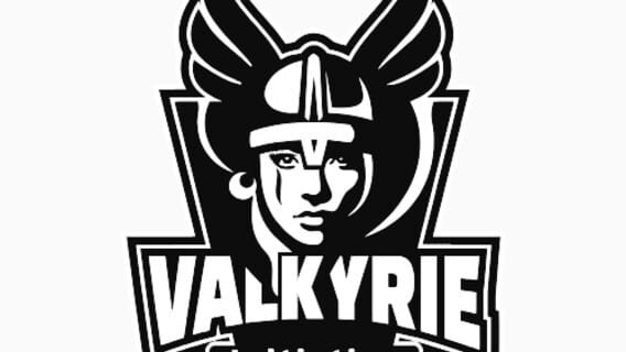 Valkyrie Initiative logo