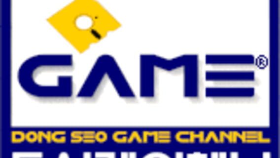 Dong Seo Interactive logo