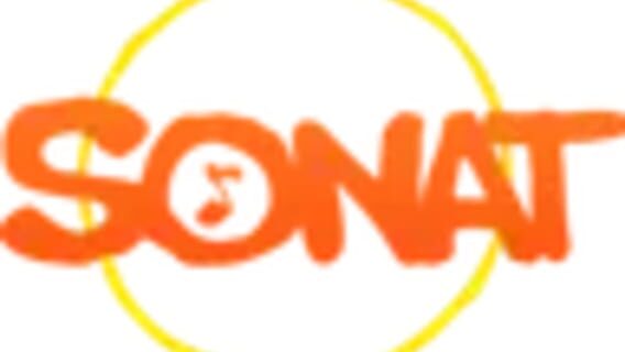 Sonat Game Studio logo