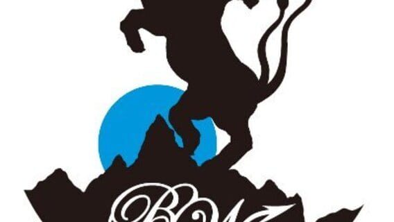 BigWednesday logo
