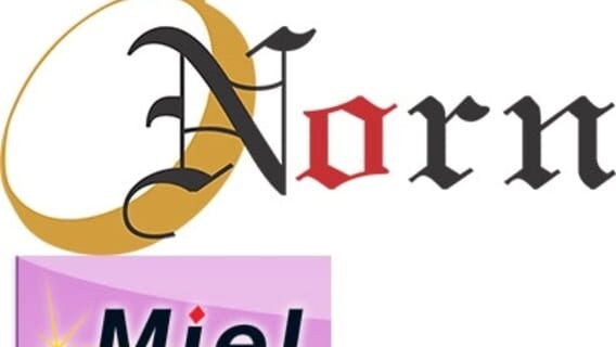 Norn / Miel logo