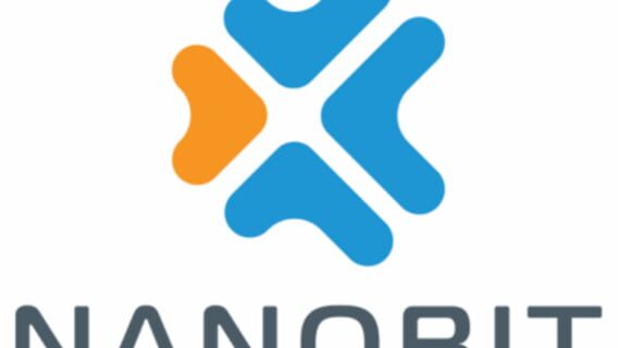 Nanobit logo