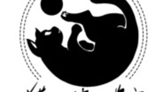 Rolling Cat Studio logo