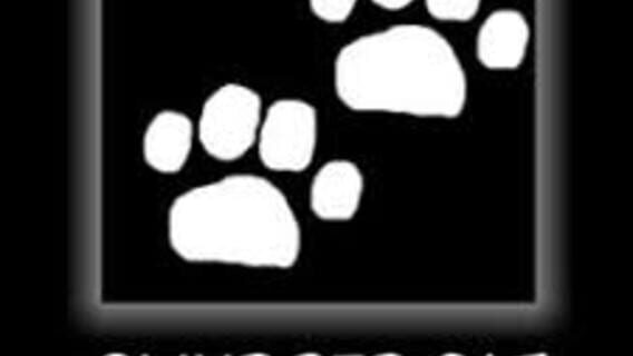 Smudged Cat Games logo