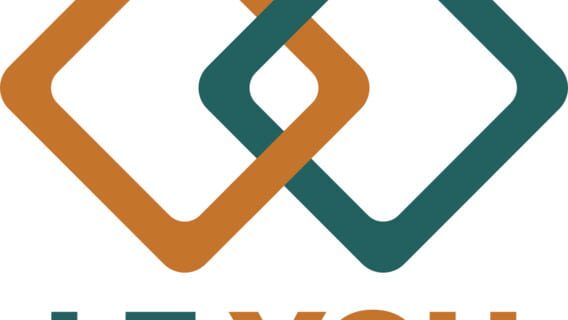 Leyou Technologies Holdings Limited logo