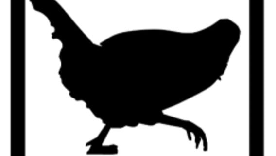 Headless Chicken Games logo