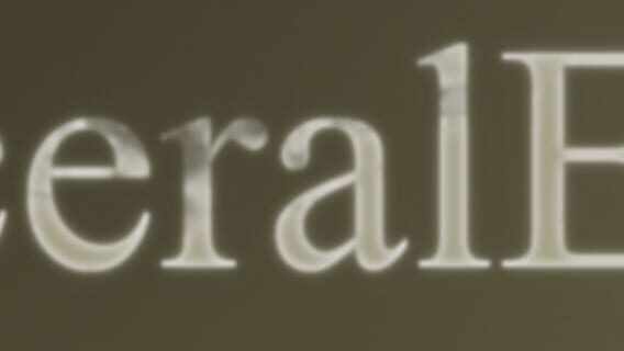VisceralError logo