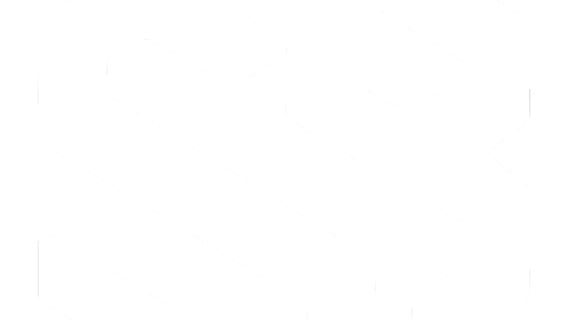 Subtle Bravado Studios logo