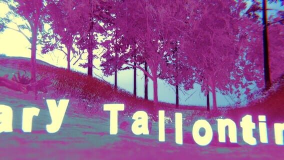 Mary Tallontire logo