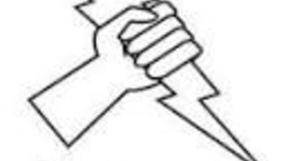 Carpe Fulgur LLC logo