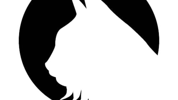 Lince Works logo