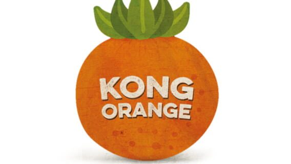 Kong Orange logo
