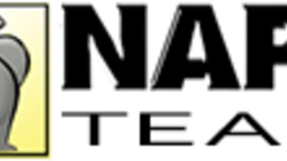 Naps Team logo