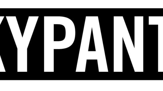 Sparkypants Studios LLC logo