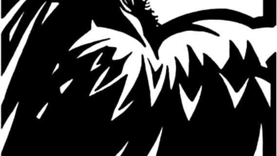 Raven Software logo