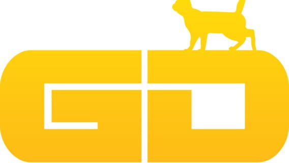 The GD Studio logo