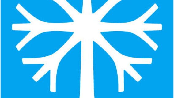 ColdWood Interactive logo
