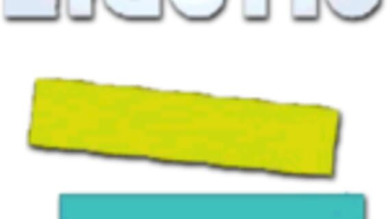 Eidetic logo