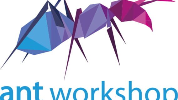 Ant Workshop Ltd logo