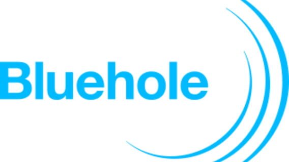 Bluehole, Inc. logo