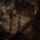 Path of Exile 2