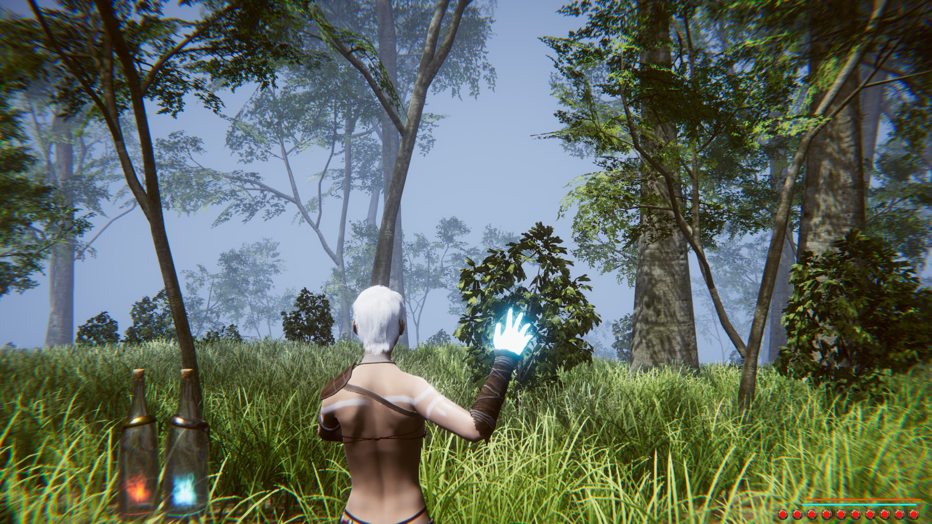 The Psychic - Screenshot 1