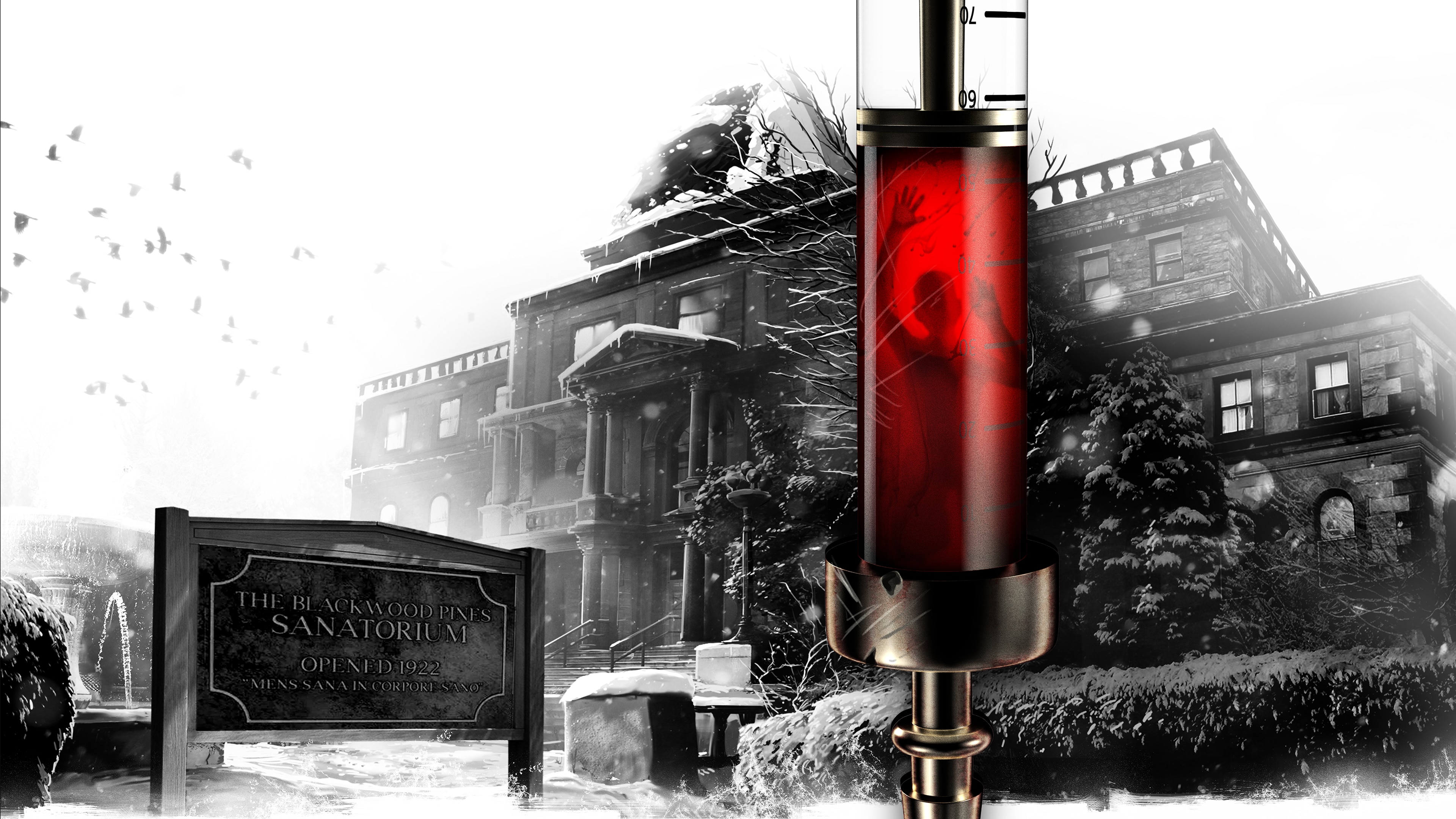 Game cover The Inpatient
