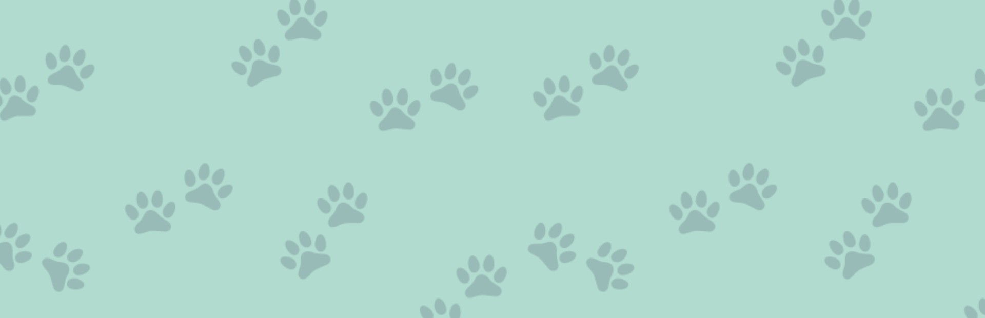 Game cover: 1001 Jigsaw: Cute Cats