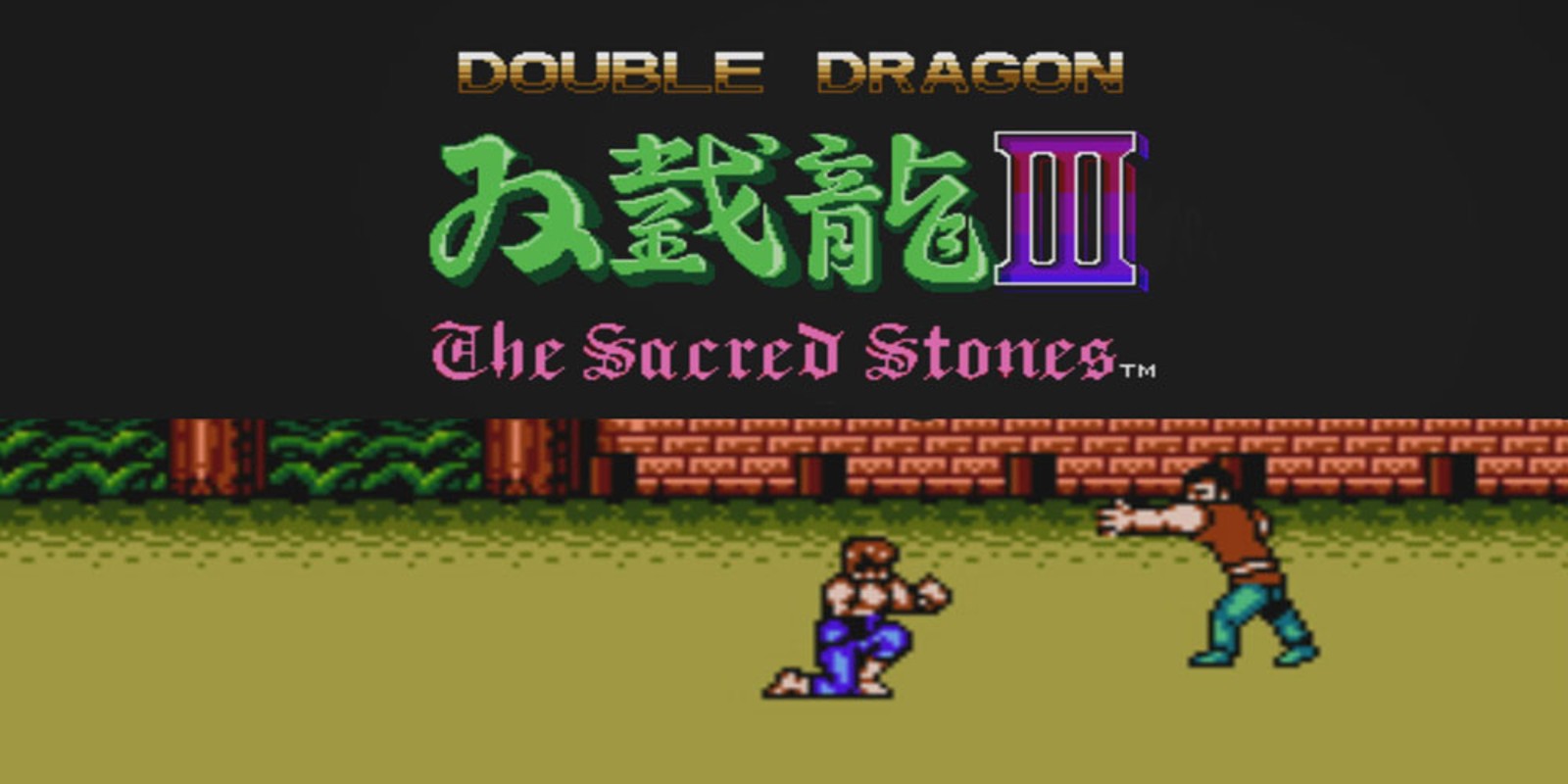 Game cover: Double Dragon III: The Sacred Stones