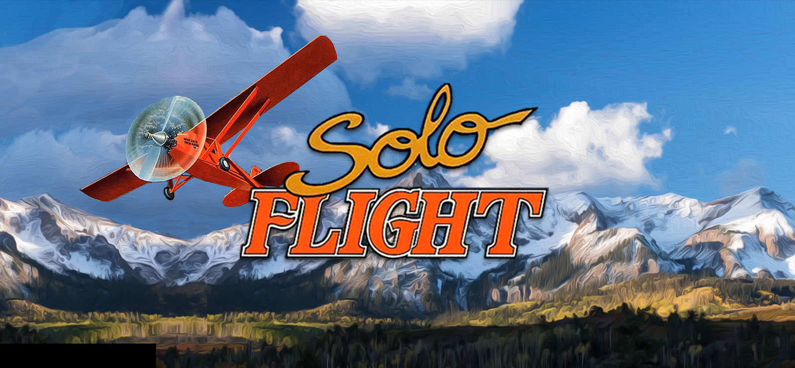 Game cover: Solo Flight