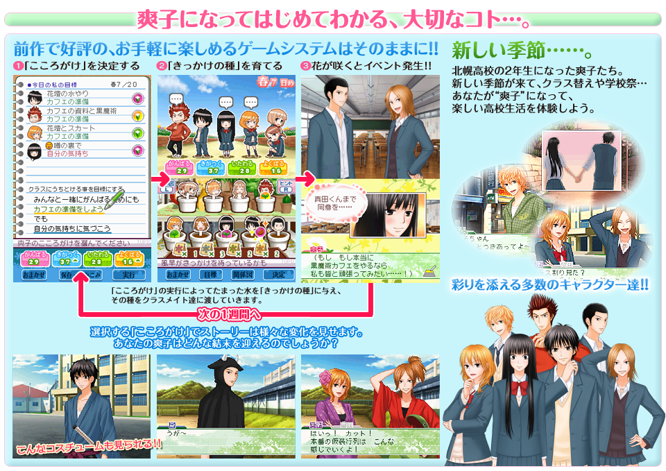 Game cover: Kimi ni Todoke: Tsutaeru Kimochi