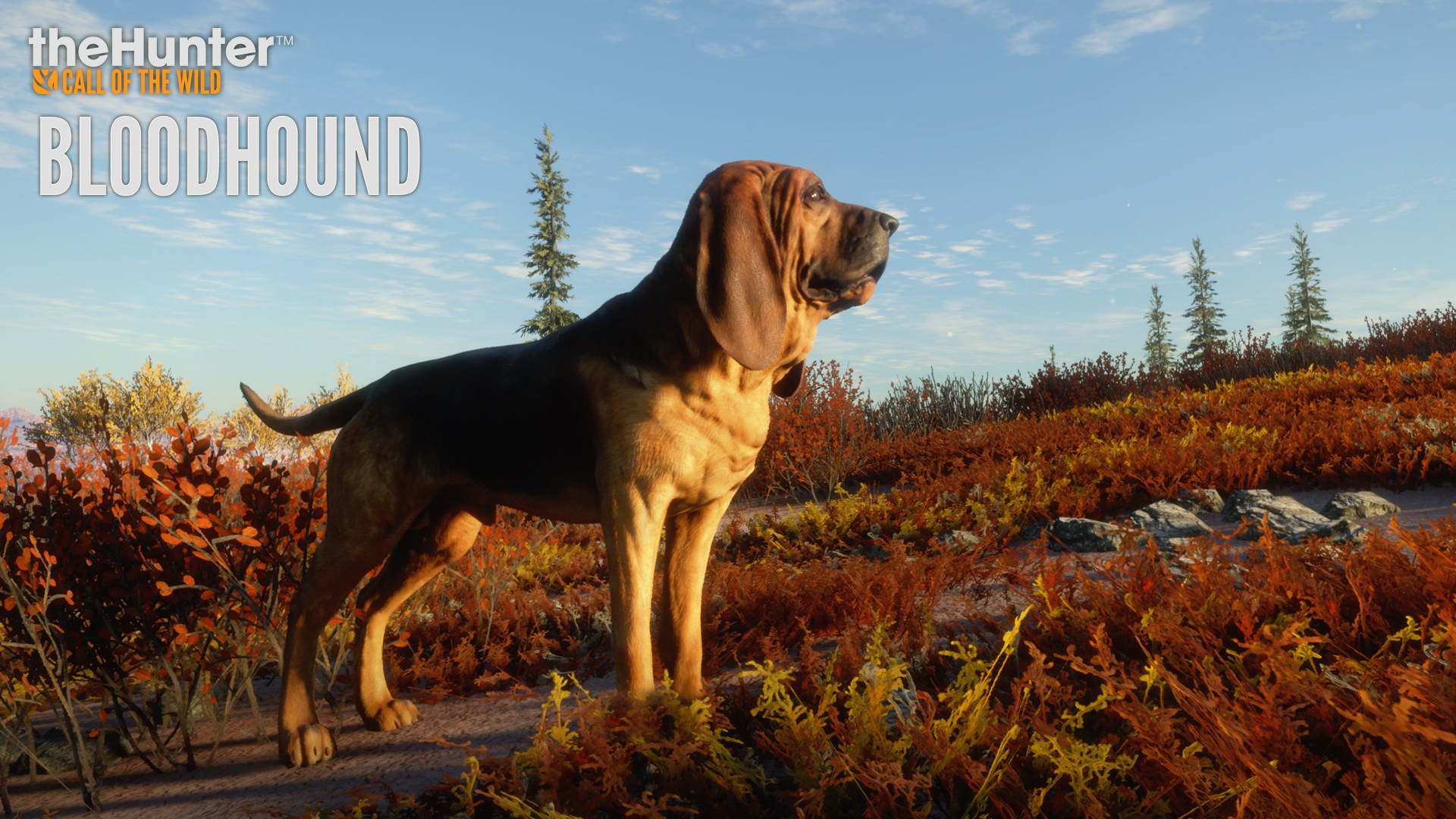 TheHunter: Call of the Wild - Bloodhound - Press Kit
